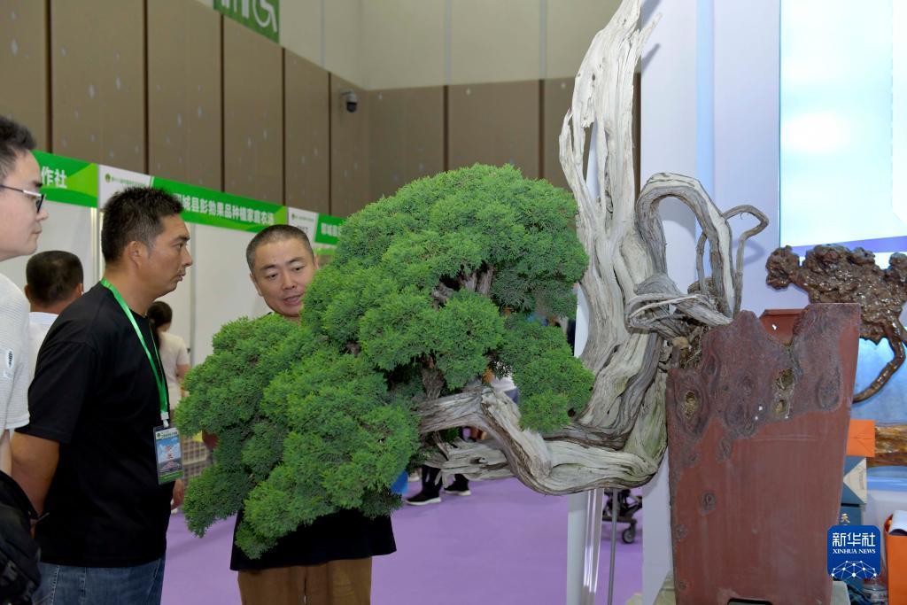 手机版u乐老虎